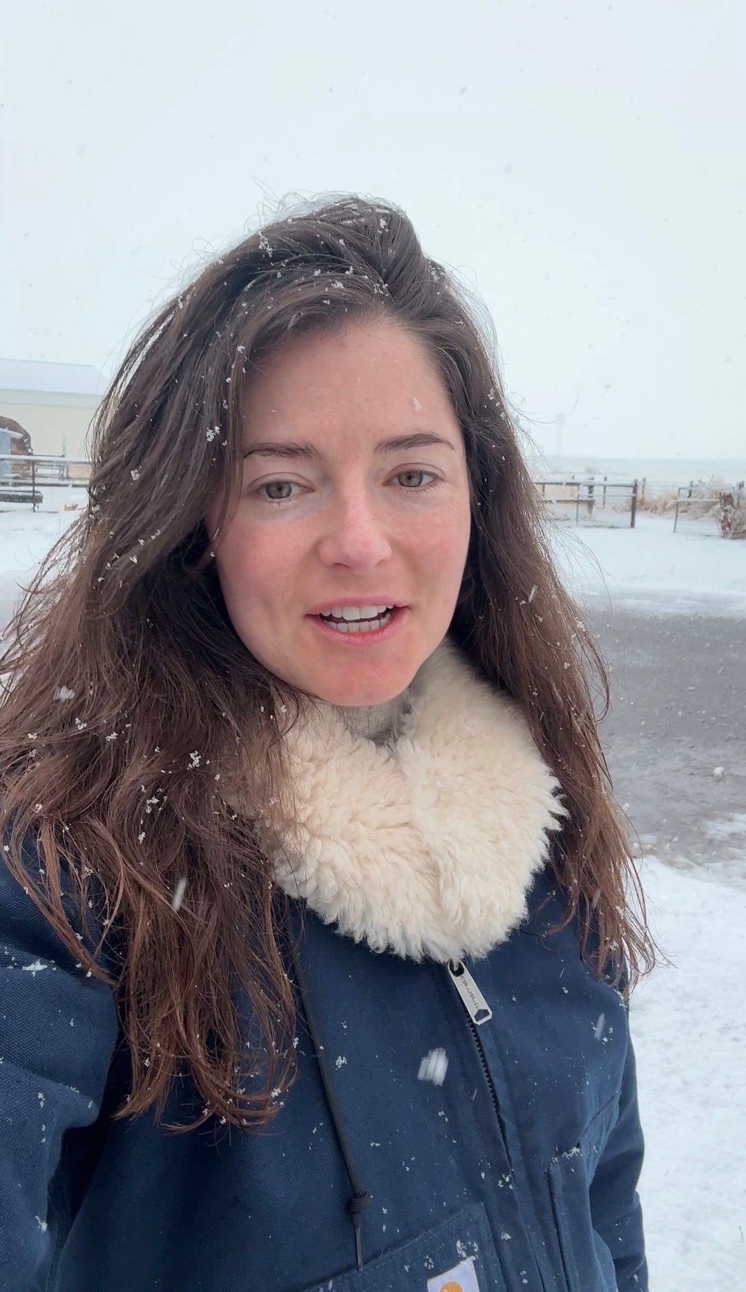 The Cutwind Collar (Sheepskin Wool Neck Wrap/Cowl)