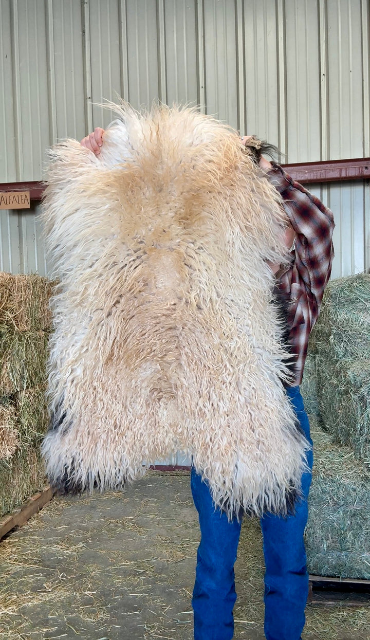 DUN - Icelandic Sheepskin "D1" - Black & tan