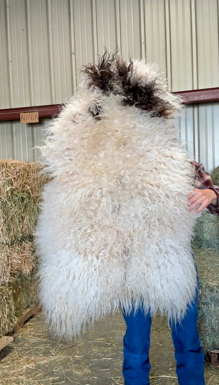 PAINT - Icelandic Sheepskin "B1" - White and Black Spots