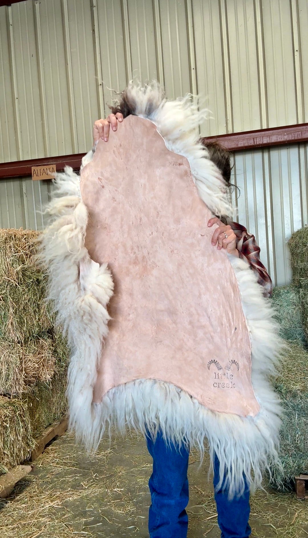 PAINT - Icelandic Sheepskin "B1" - White and Black Spots