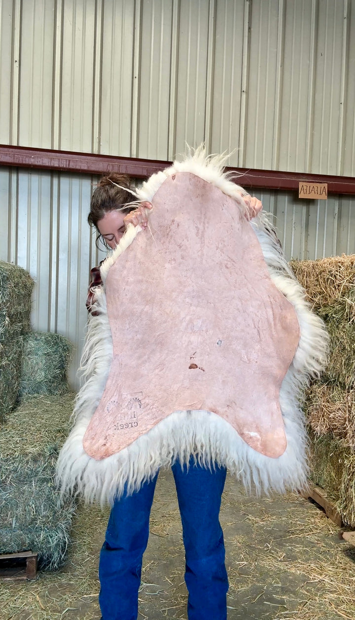 SOAR - Icelandic Sheepskin "F1" - Cream with a spot