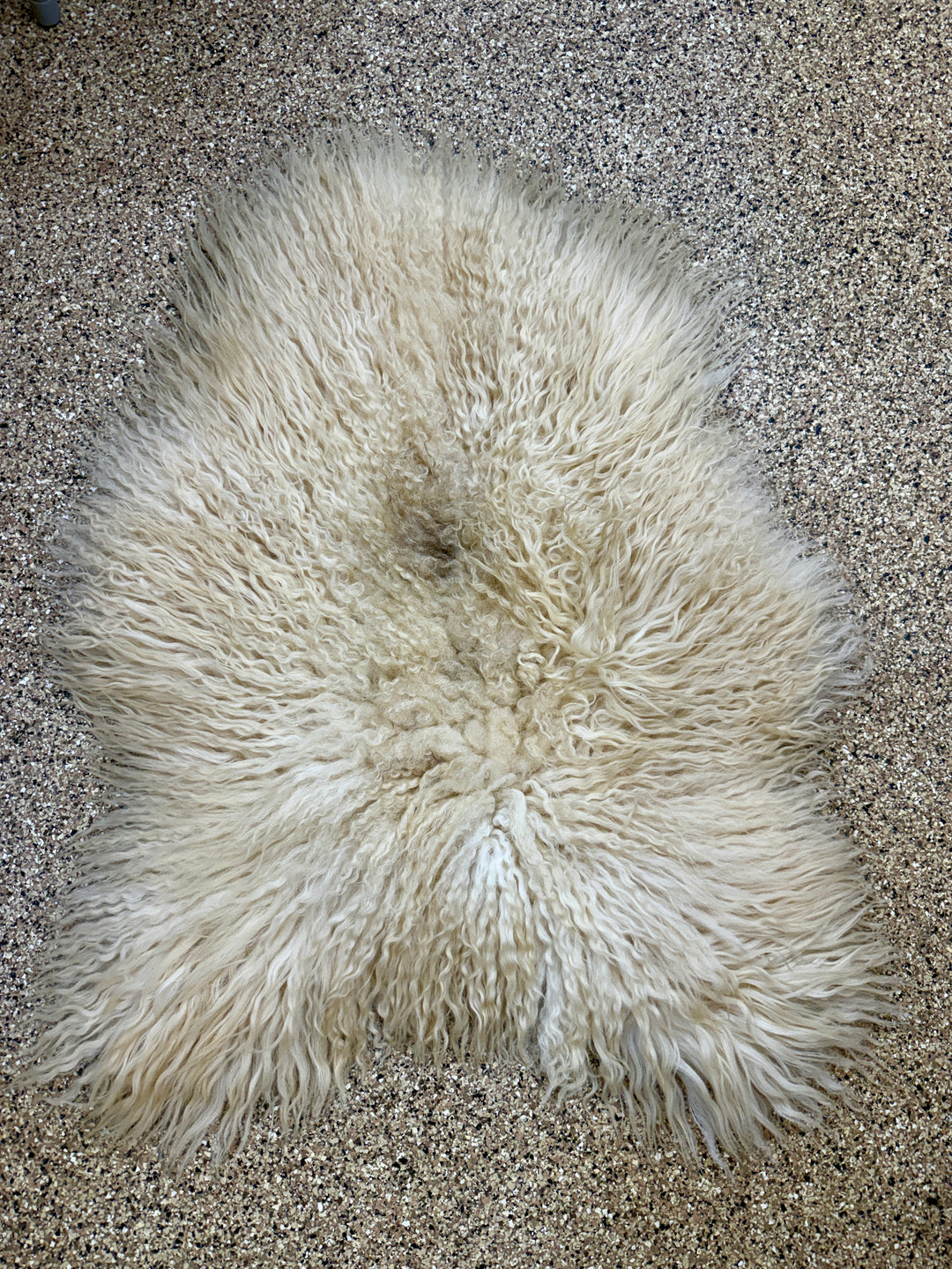 SOAR - Icelandic Sheepskin "F1" - Cream with a spot