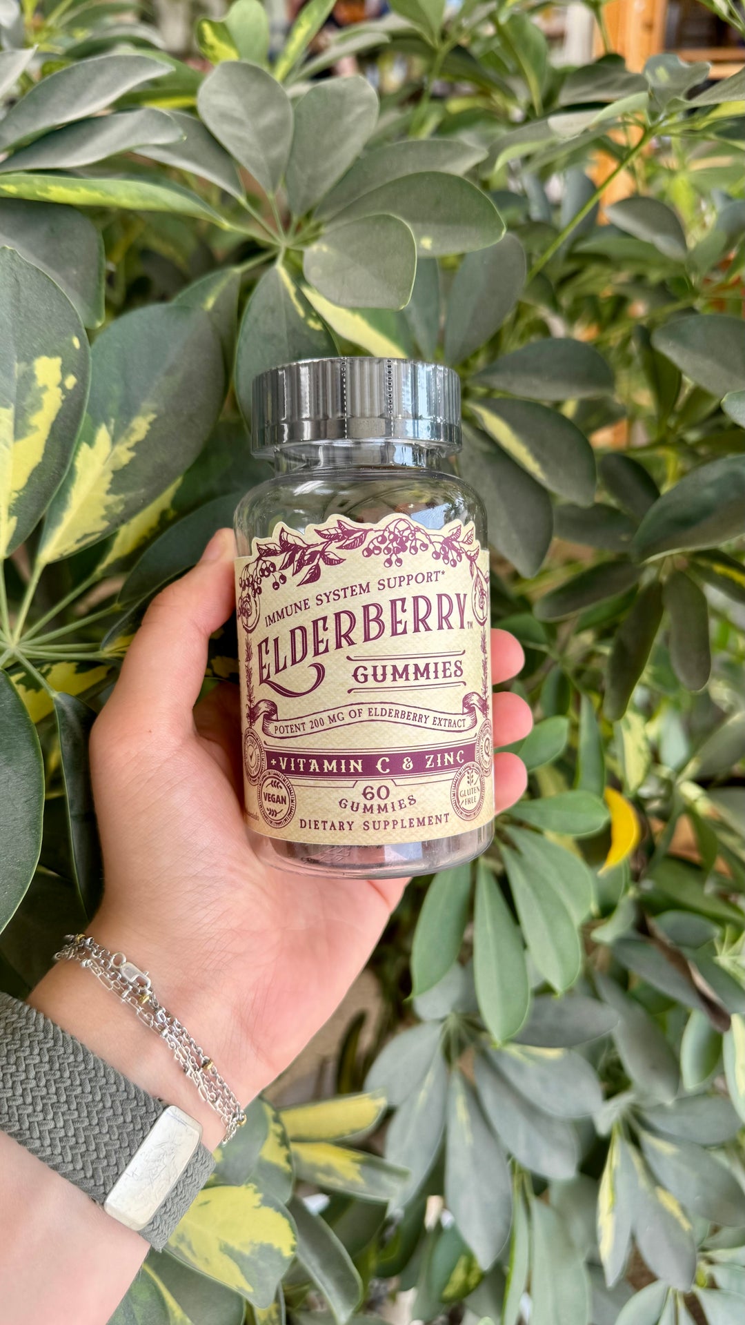 Elderberry Gummies