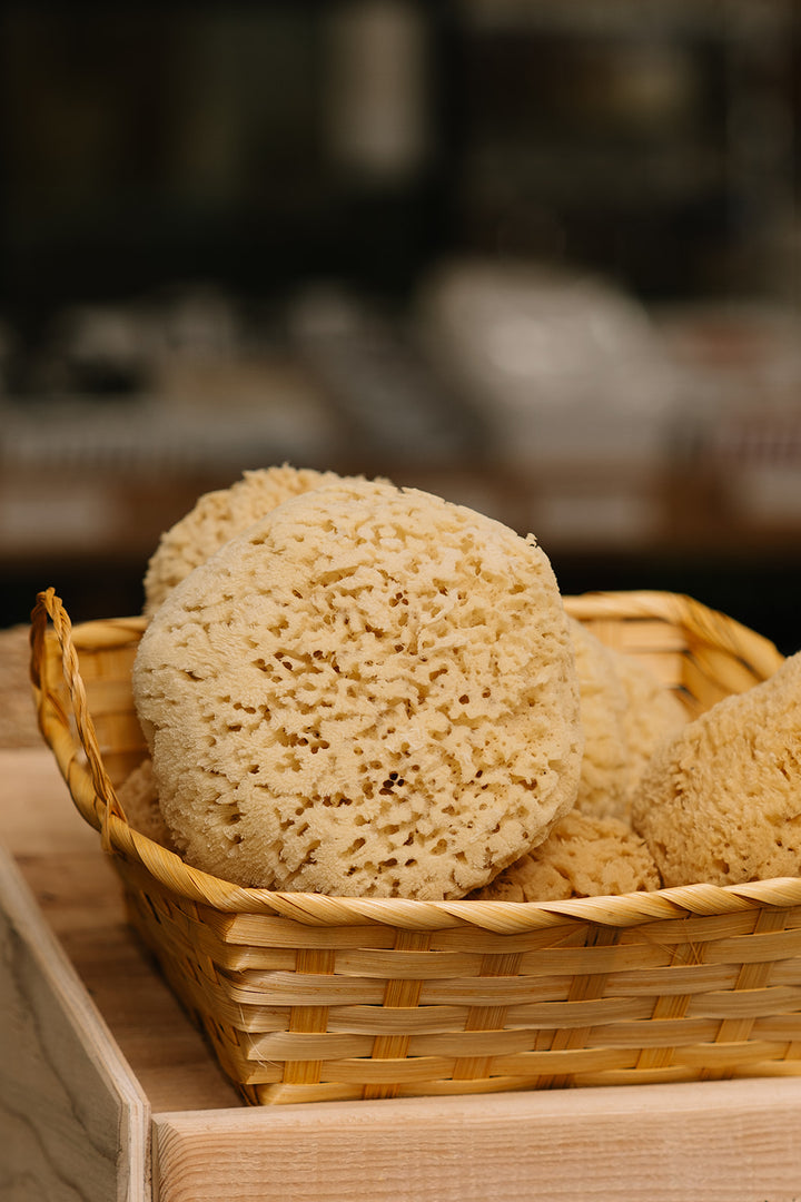Natural Sea Sponge