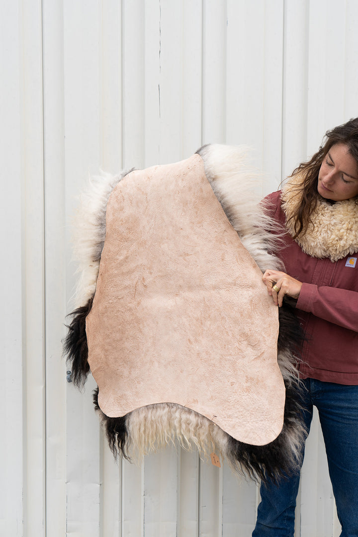 ELKHORN - Icelandic Sheepskin "Q" - White w/ Spots