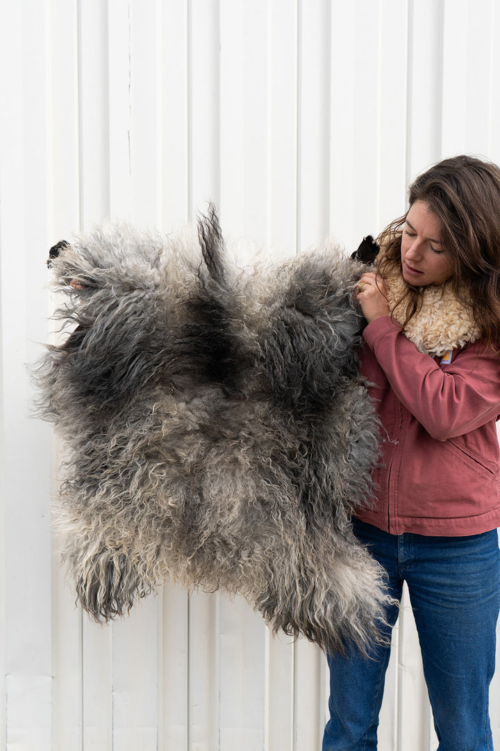 TEMPEST - Icelandic Sheepskin "BB" - Grey/Black