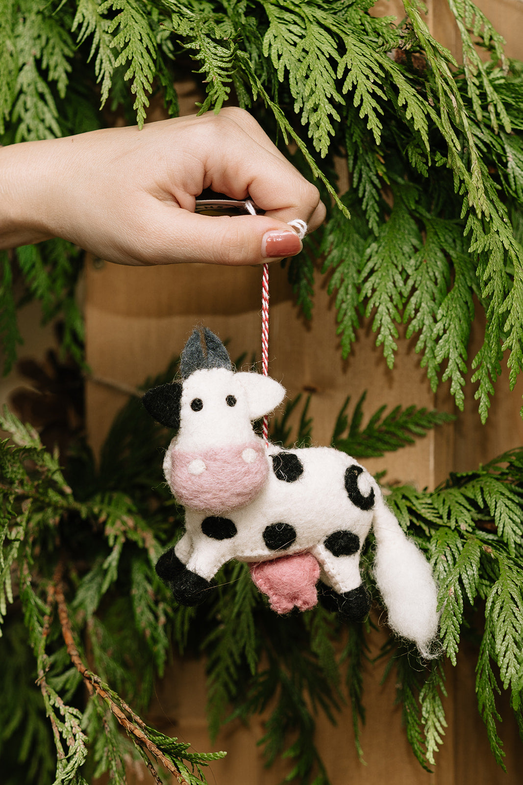 Felted Wool Farm Animal Ornaments (3D)