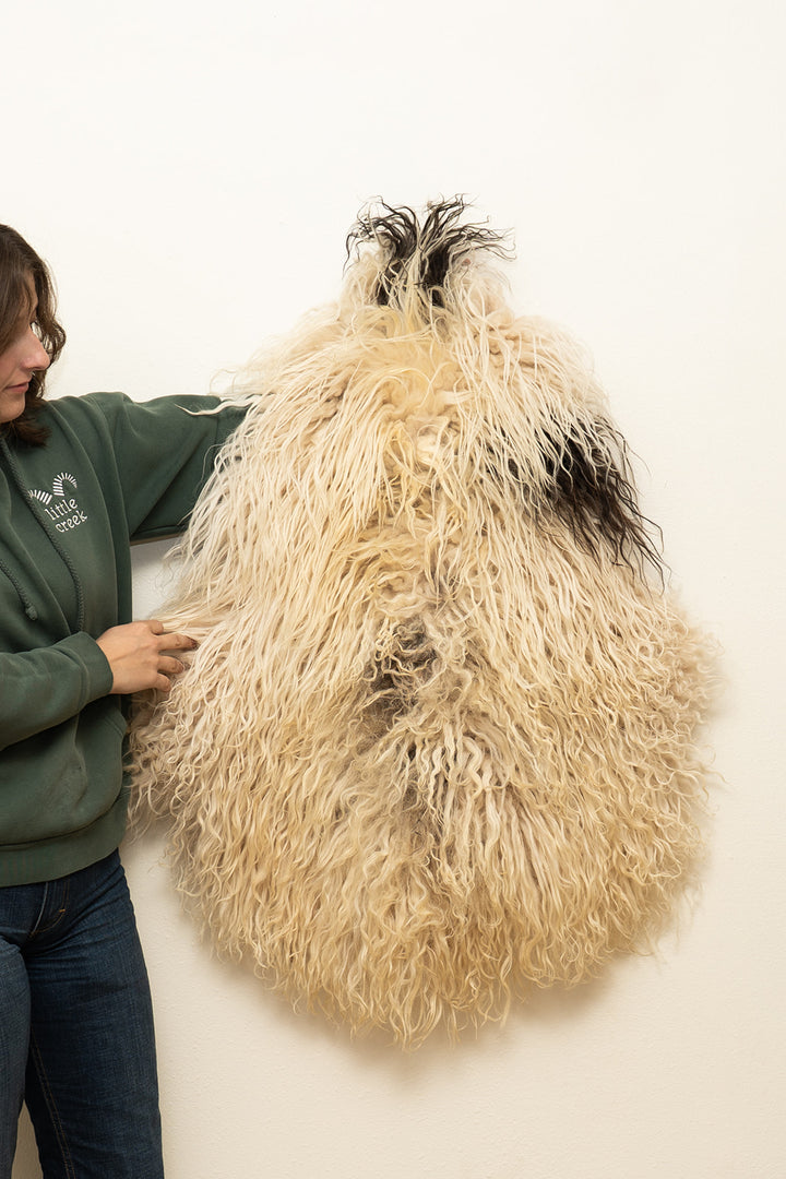 OSPREY - Icelandic Sheepskin "1D" - White & Black