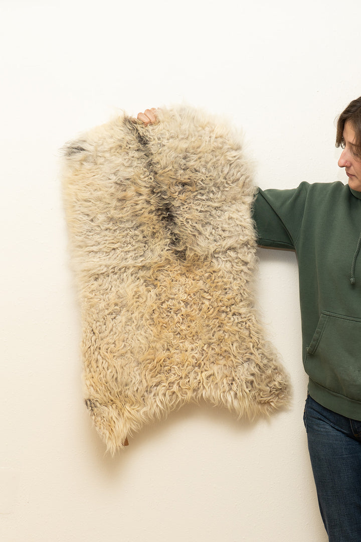 BRINDLE - Icelandic Sheepskin "#9" - Golden/ Black/ Grey