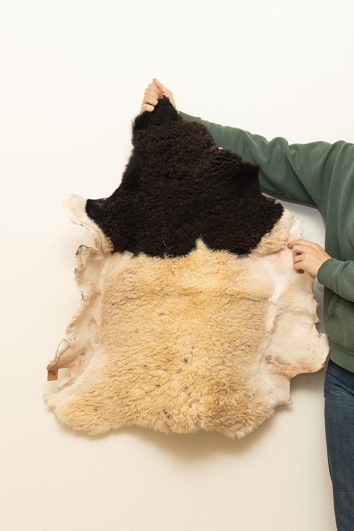 PAINT - Katahdin Sheepskin "1C" - White and black spotted