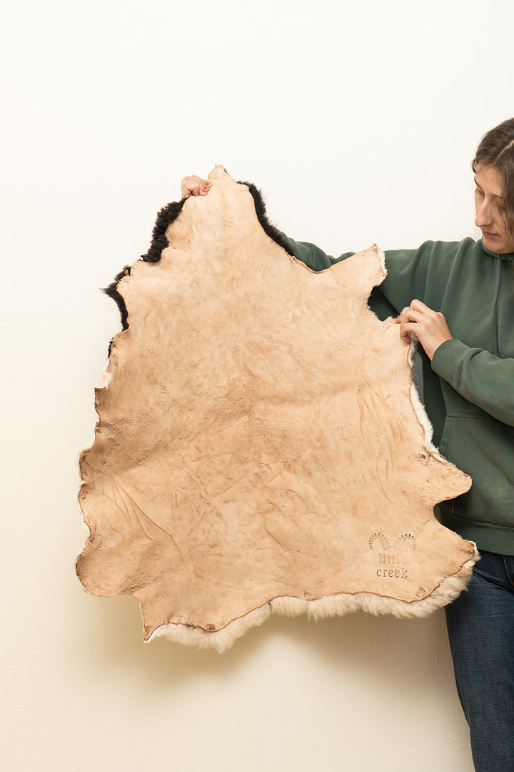 PAINT - Katahdin Sheepskin "1C" - White and black spotted