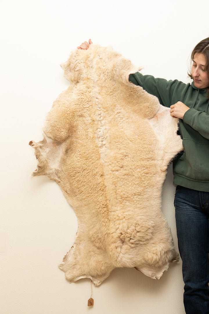 DUNE - Katahdin Sheepskin "1M" - Tan