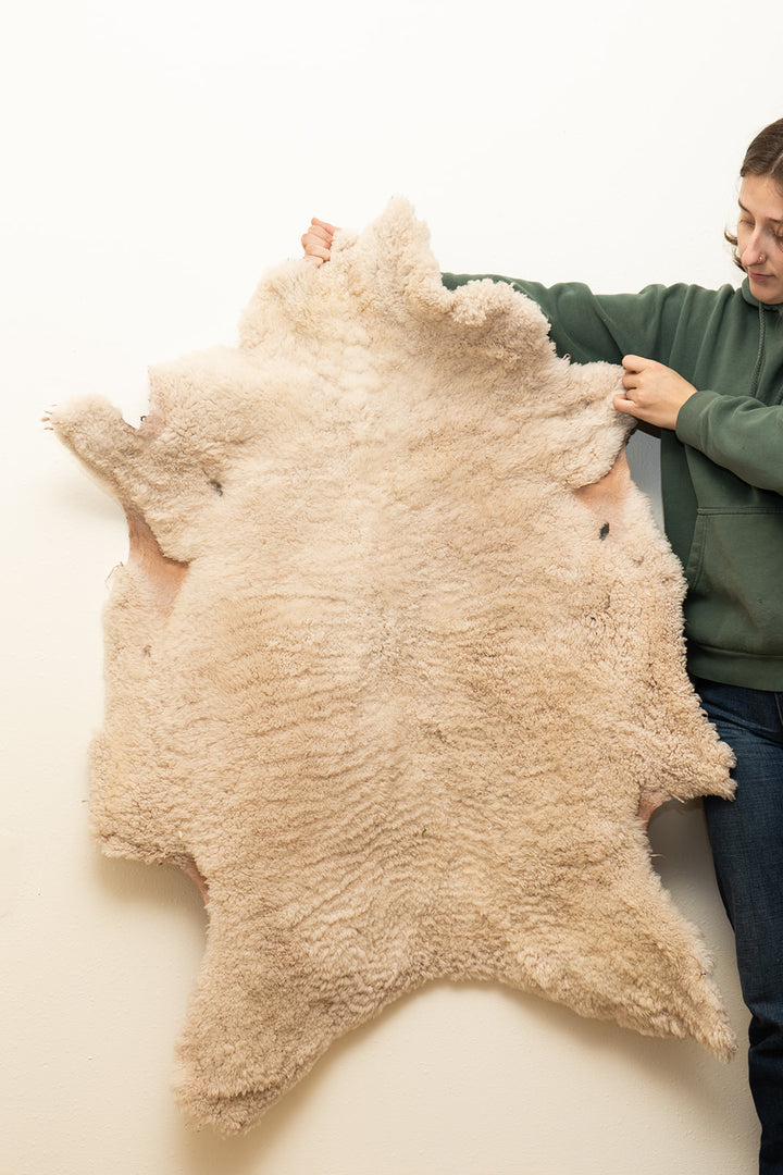 GLACIER -  Suffolk Sheepskin "Z3" - White