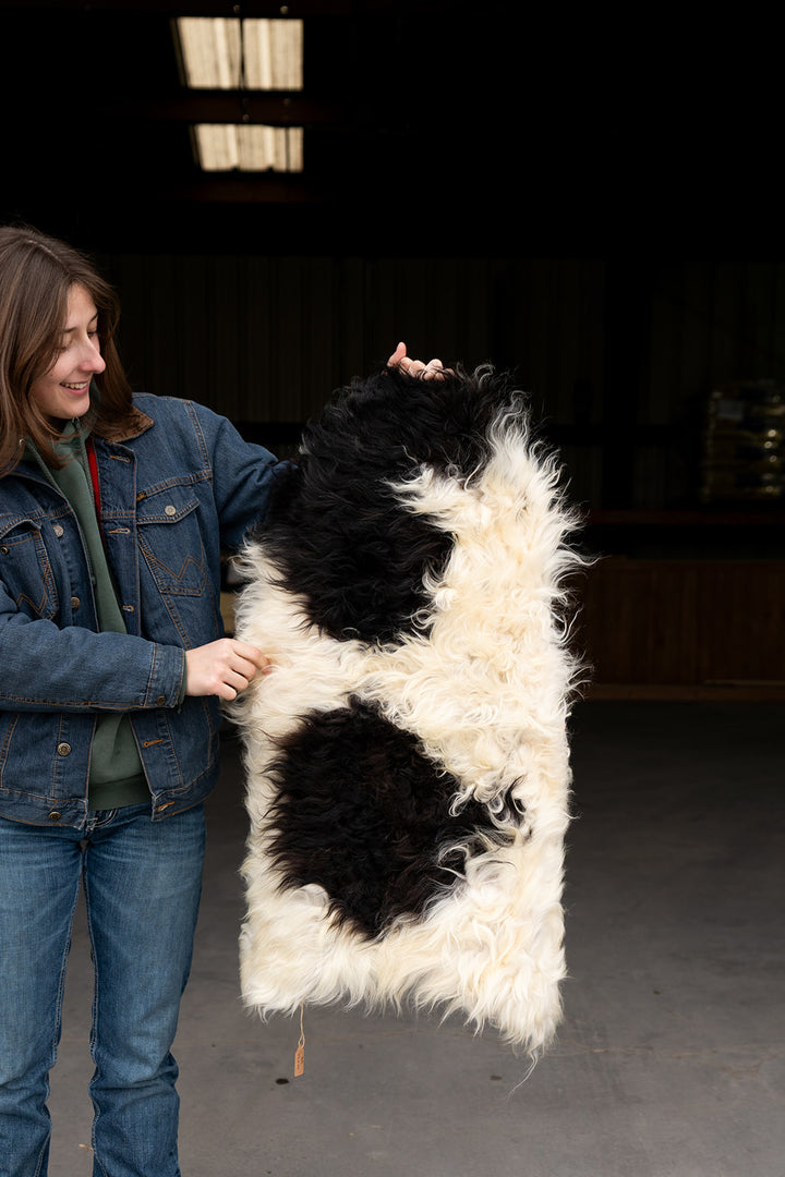 MARBLE - Icelandic Sheepskin "BB" - White with Black Spots