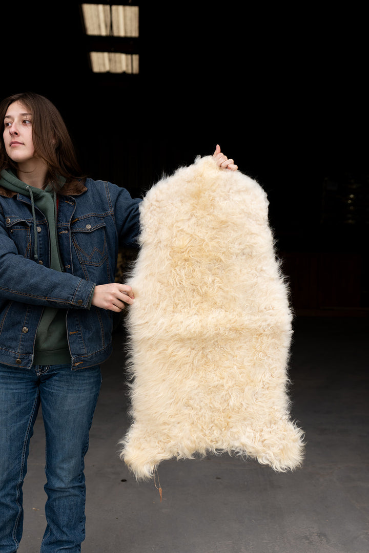 MIDAS - Icelandic Sheepskin "CC" - Gold and White