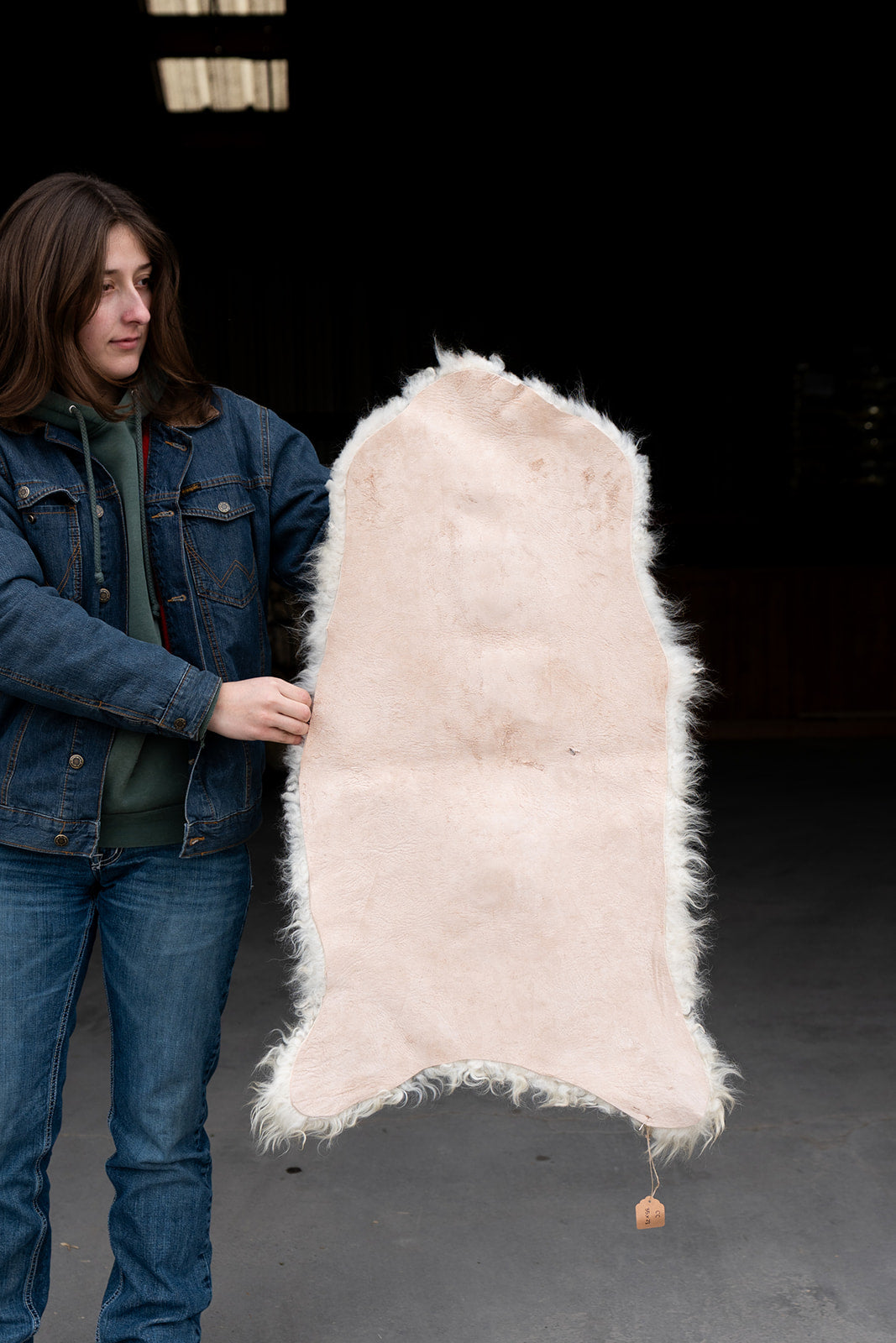 MIDAS - Icelandic Sheepskin "CC" - Gold and White
