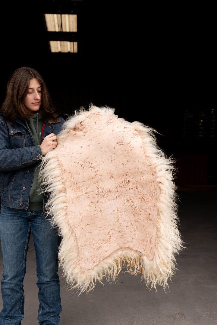 SUNLIGHT - Icelandic Sheepskin "OO" - Gold and White
