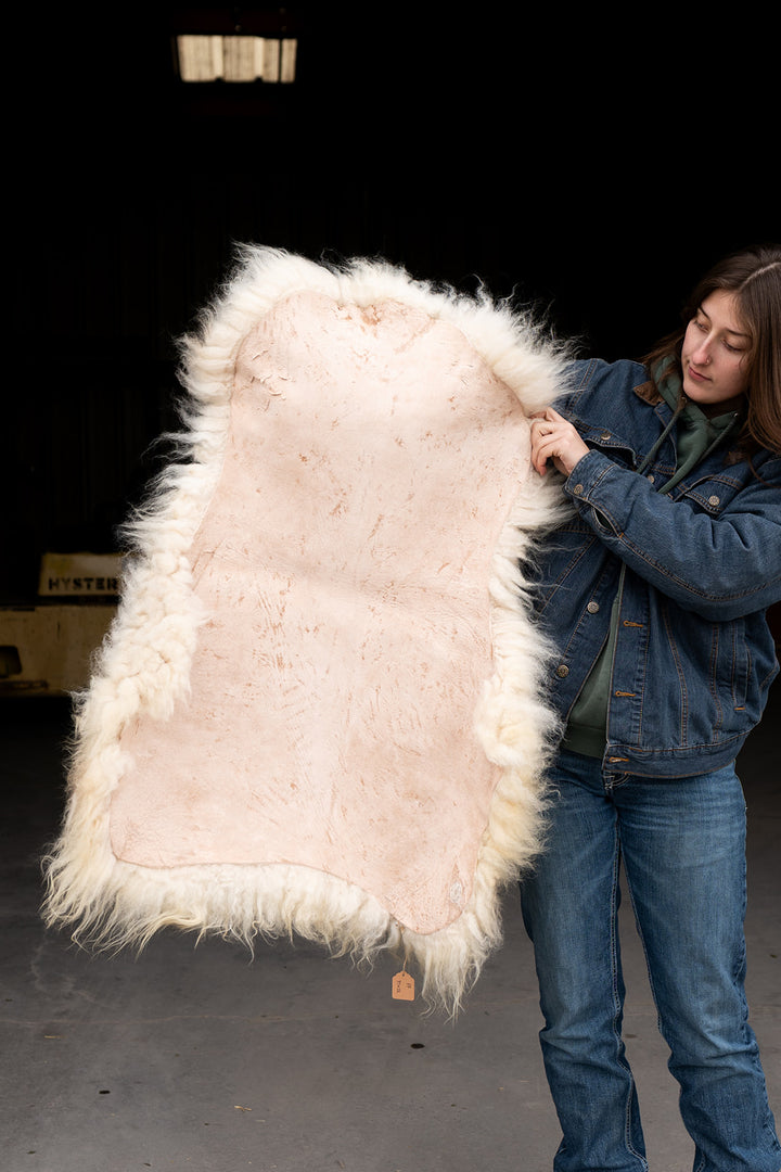 SUNRISE - Icelandic Sheepskin "FF" - White and Gold