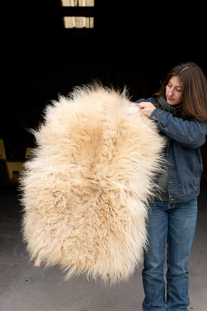 AURUM - Icelandic Sheepskin "GG" - Gold and White