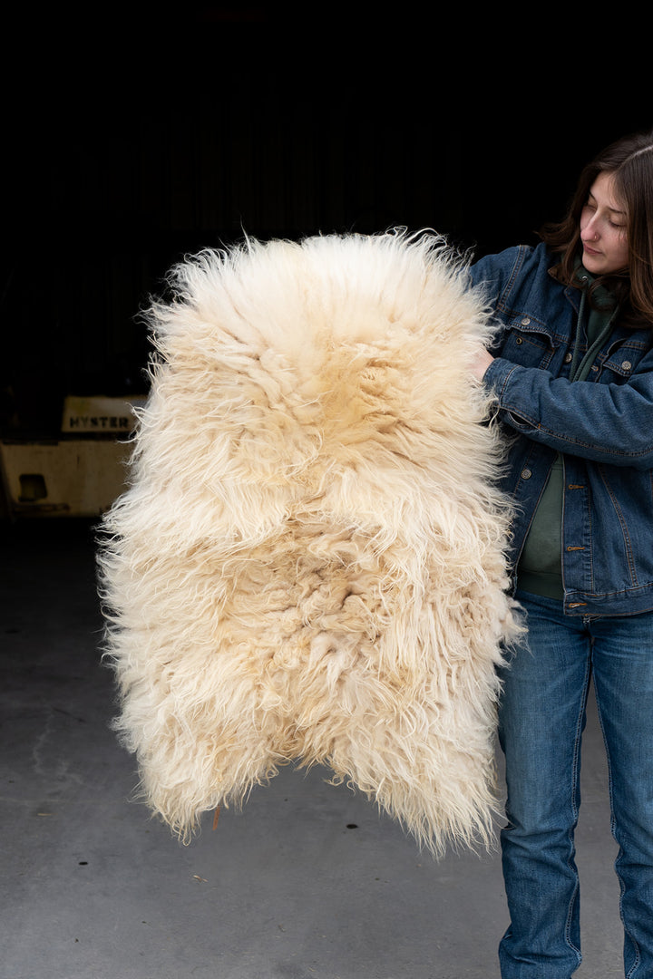 IVORY FLAME - Icelandic Sheepskin "HH" - Gold and White