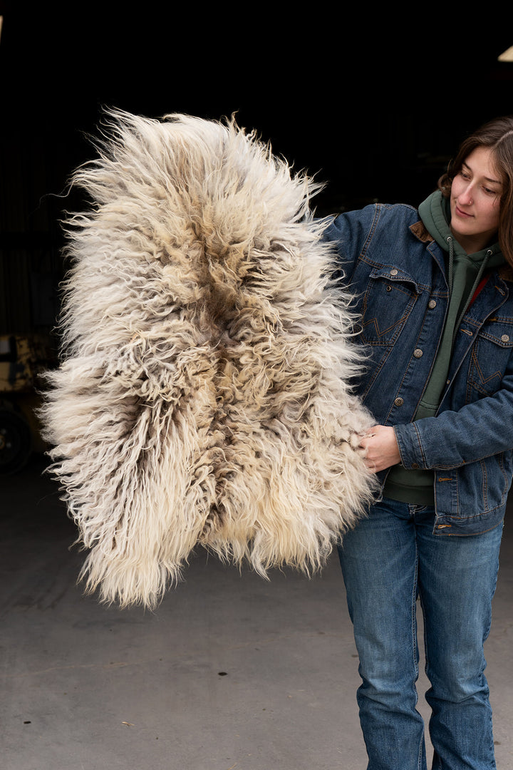 BRINDLE - Icelandic Sheepskin "NN" - Brown, Gold, and White