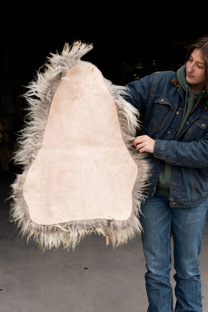 BRINDLE - Icelandic Sheepskin "NN" - Brown, Gold, and White