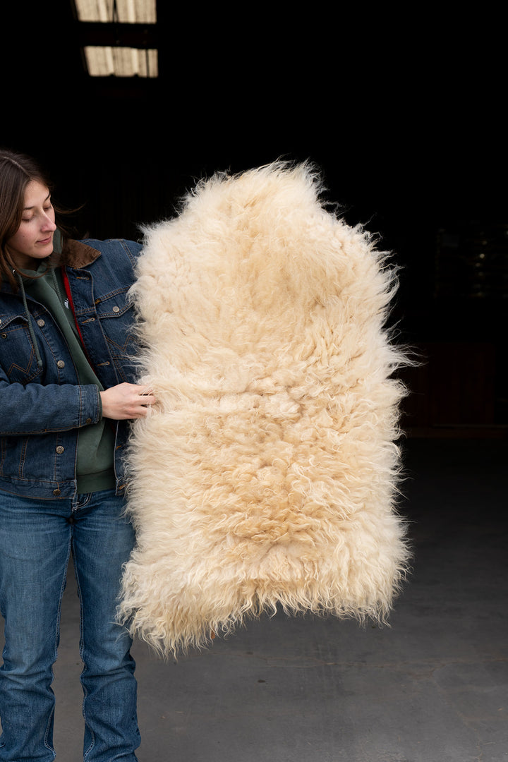 HALO - Icelandic Sheepskin "QQ" - Gold and White