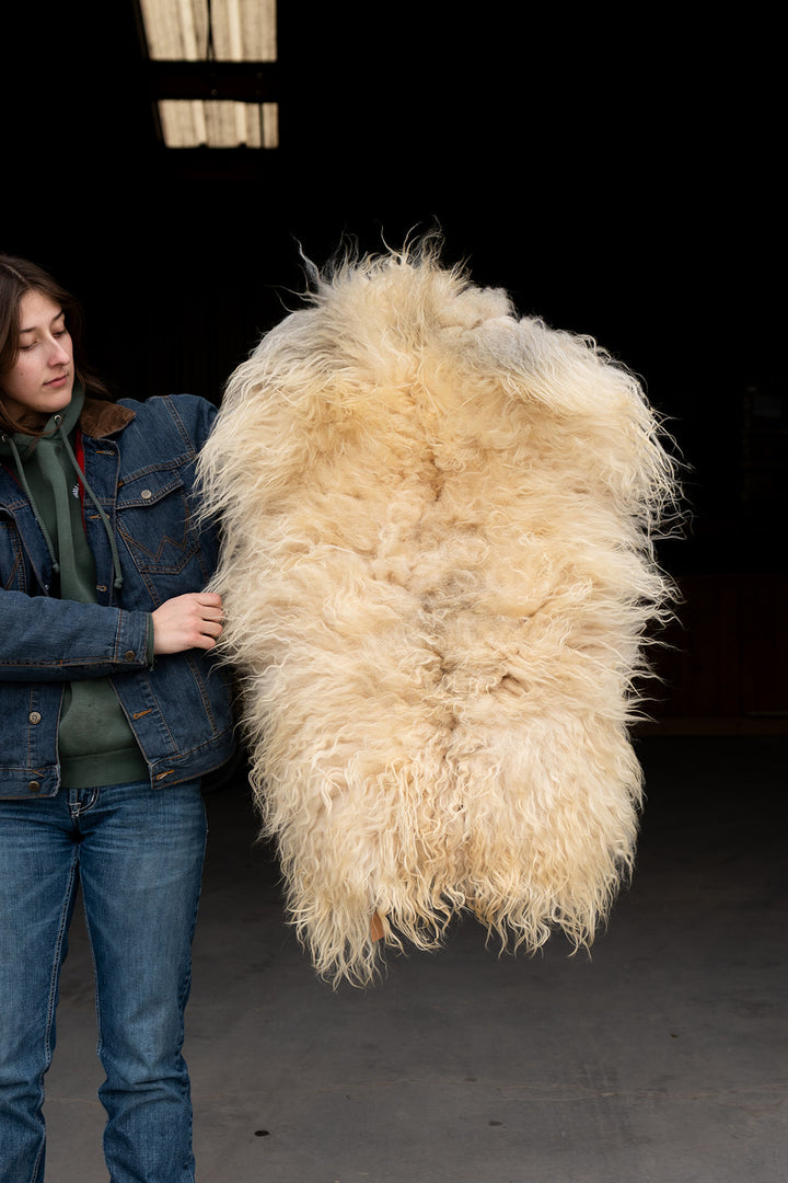 SUNLIGHT - Icelandic Sheepskin "OO" - Gold and White