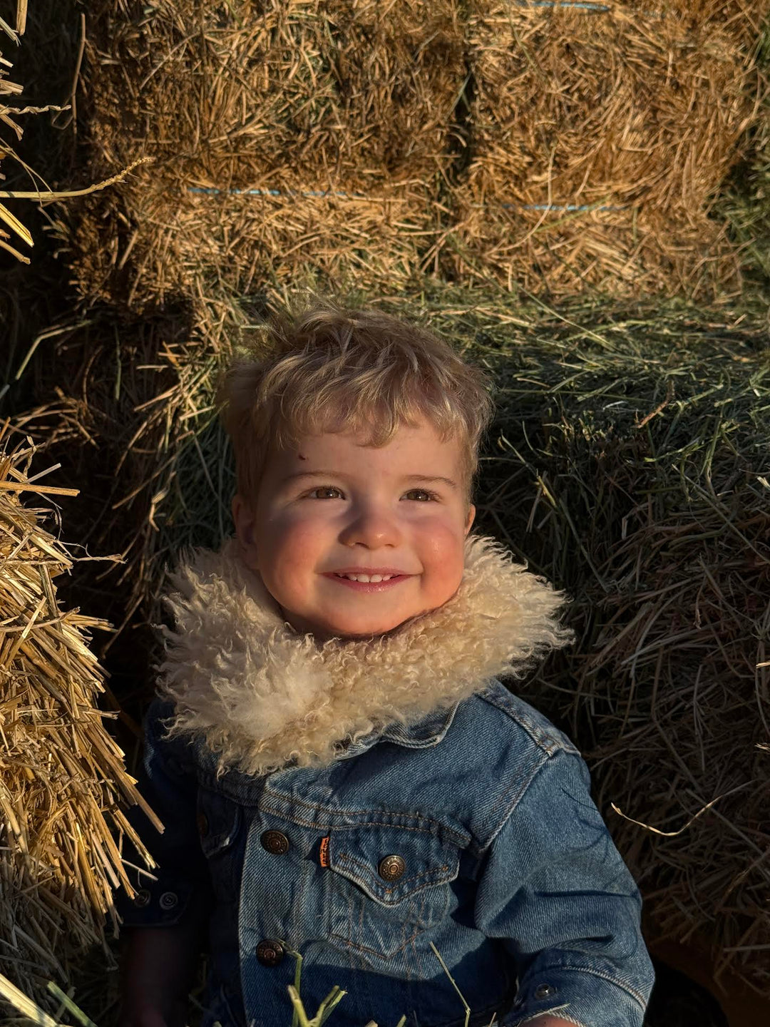 The Cutwind Collar (Sheepskin Wool Neck Wrap/Cowl)