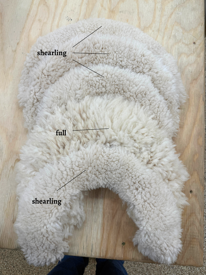 The Cutwind Collar (Sheepskin Wool Neck Wrap/Cowl)